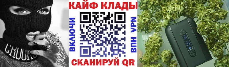 Конопля Суворов