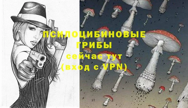 MDMA Богородицк