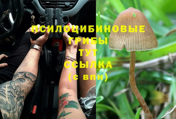 а пвп мука Покачи