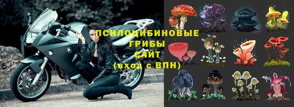 гидра Покровск