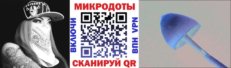 купить закладку  shop какой сайт  Псилоцибиновые грибы ЛСД  Суворов 